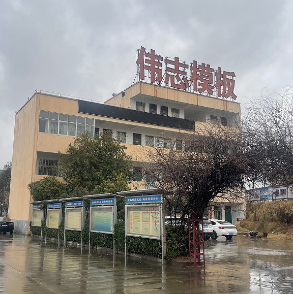 以匠心铸“桥”梁，以品质传“粽”情